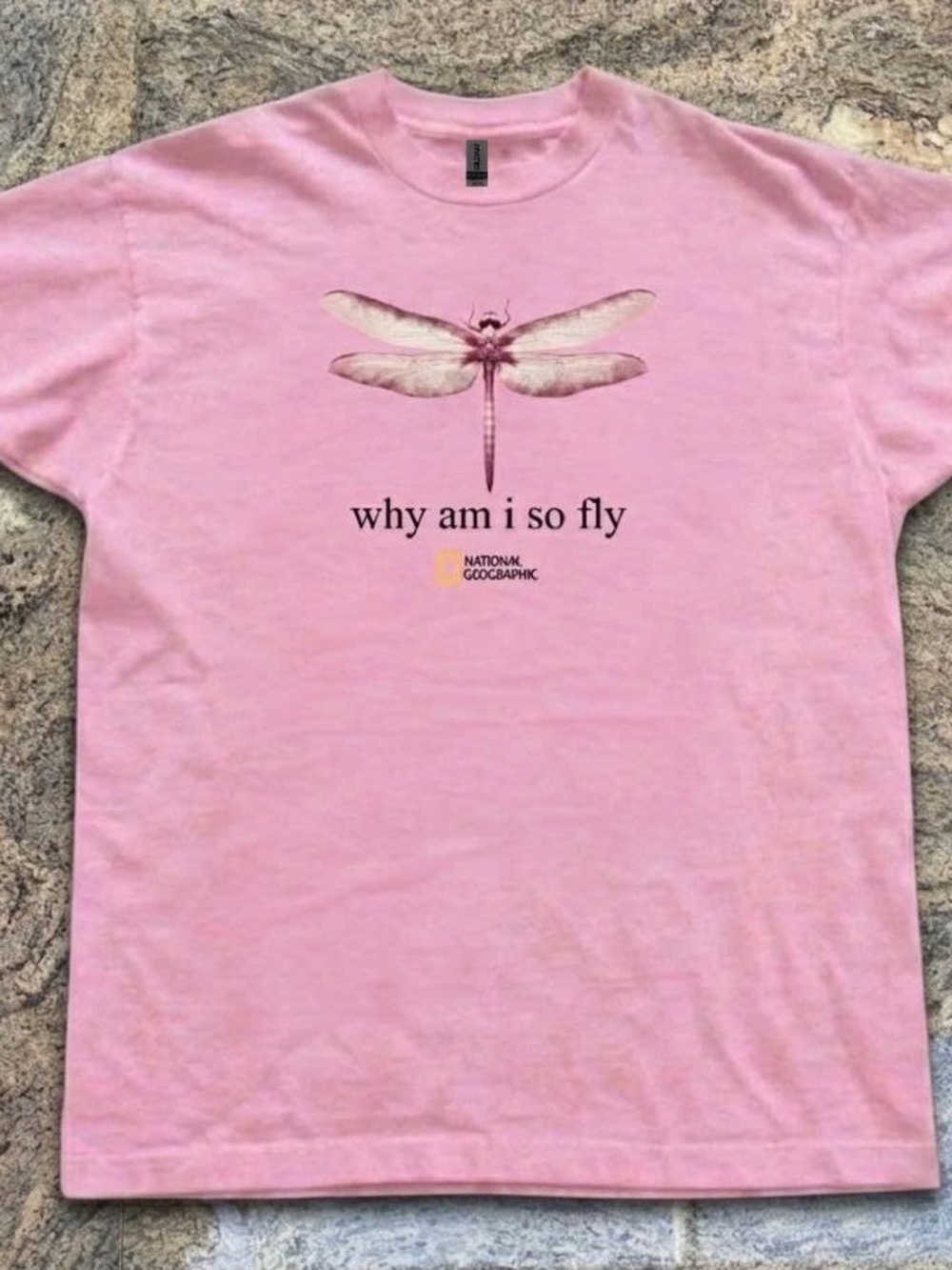 Gildan Pink Dragonfly Graphic Tee - 'Why Am I So Fly'